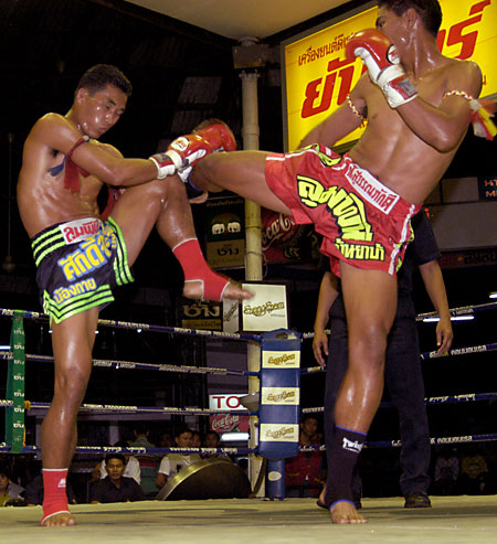 thai-boxingalamy_450x493